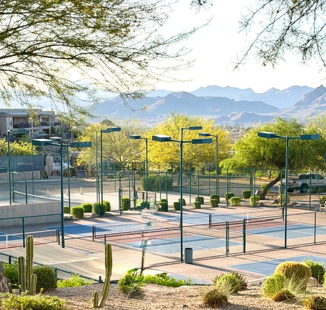 Pickle ball. Photo Jill Weinlein
