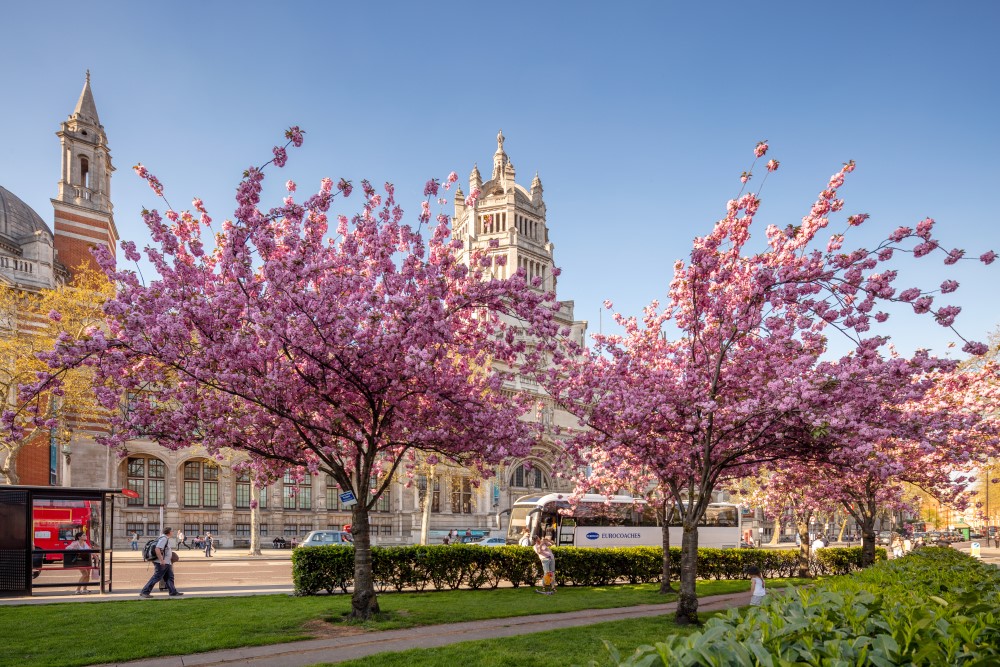 Victoria & Albert Museum, Photo Compliments Visit London