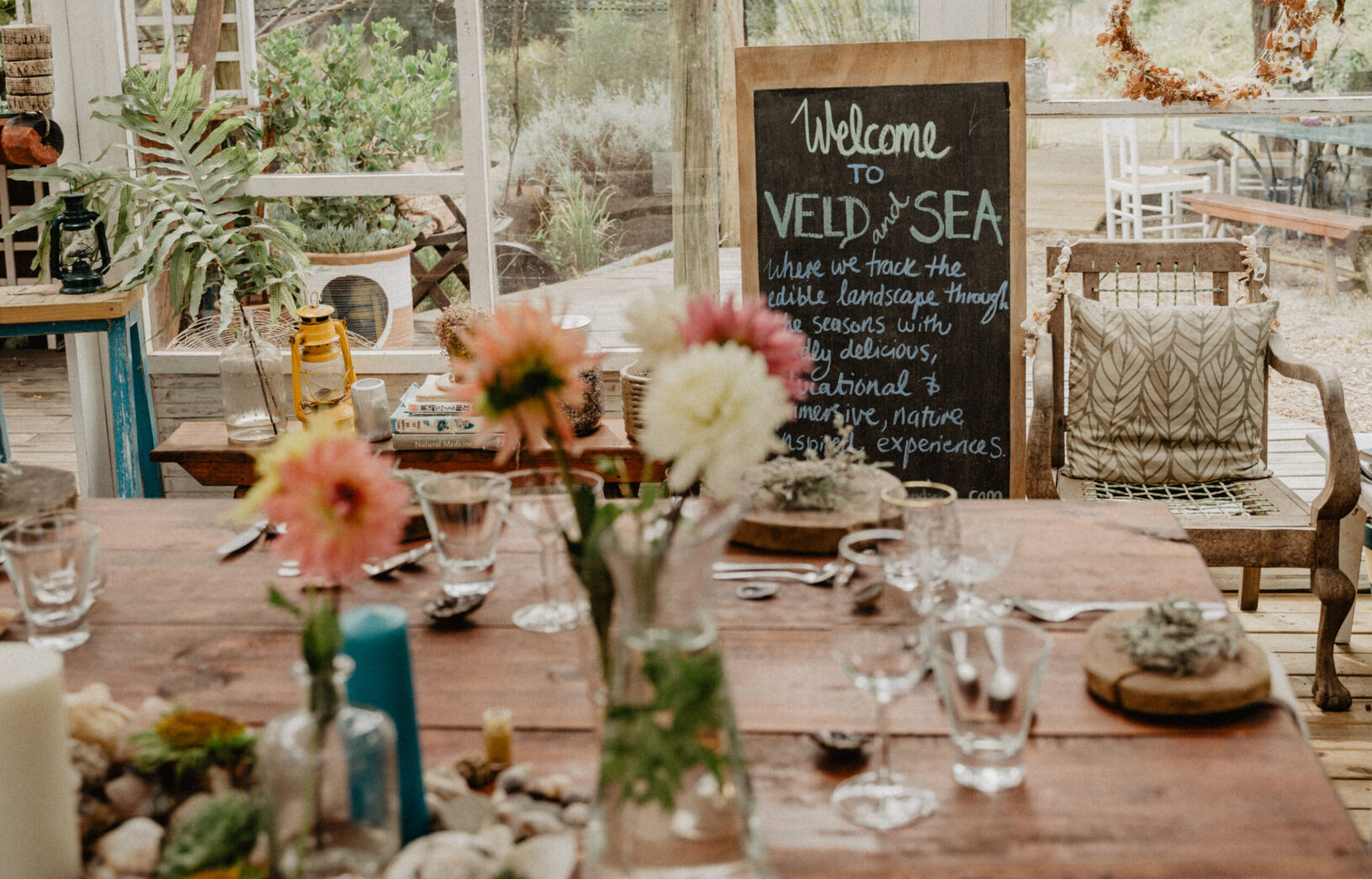 Veld & Sea specializes in wild food foraging experiences