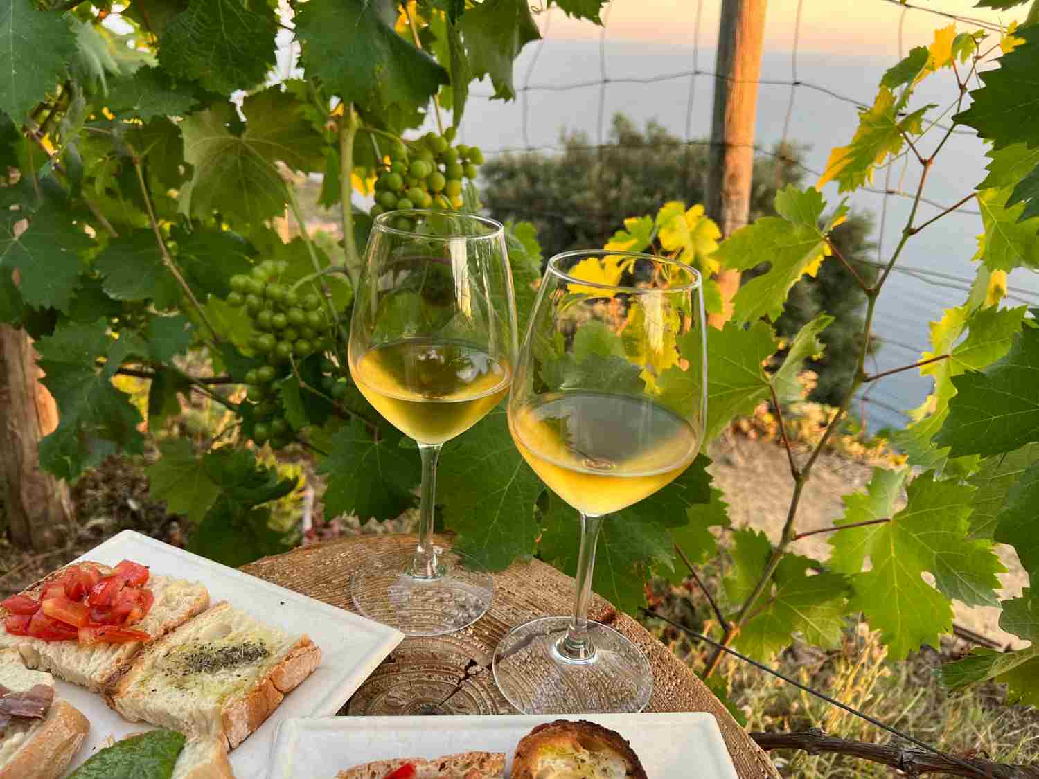 Two wine glasses on a wooden surface surrounded by grapevines, with plates of appetizers in the foreground and a scenic view behind.