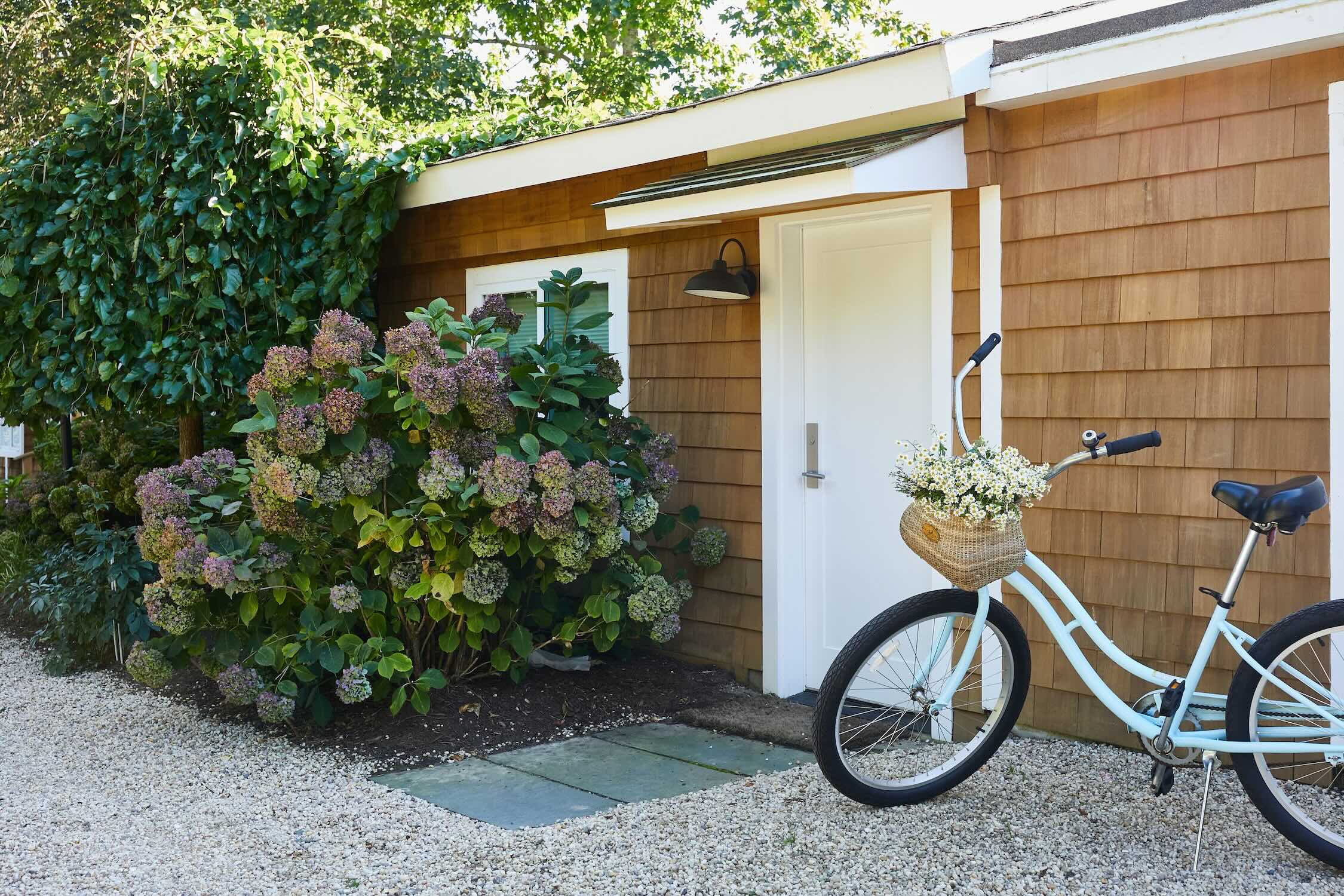 Explore the region by bike